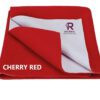 Rojdeal waterproof baby bed protector dry sheet for born babies (small (50cm x 70cm), pink) with ultra absorbance (red) 2 Rojdeal waterproof baby bed protector dry sheet for born babies (small (50cm x 70cm), pink) with ultra absorbance