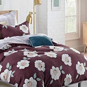 Rojdeal Glace Cotton King Size Double Bedsheet with 2 Pillow Covers (Cream)